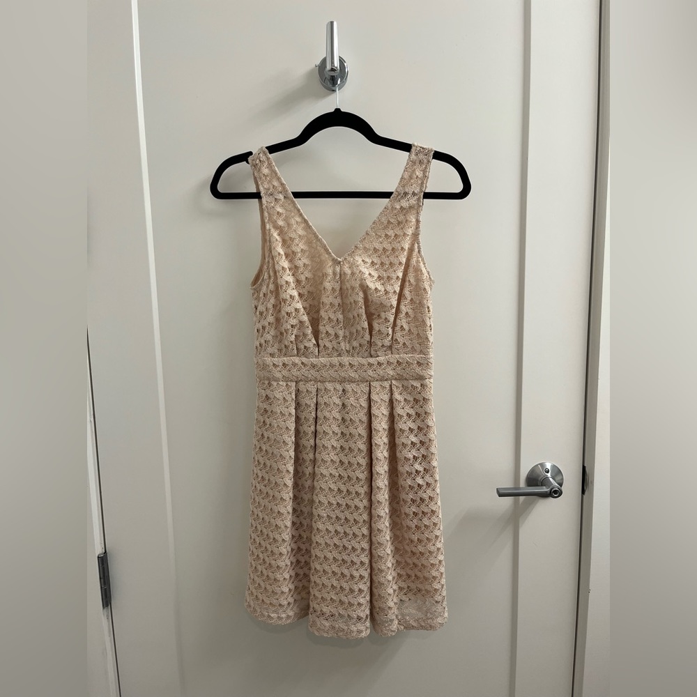 BCBG Nude Blush Dress